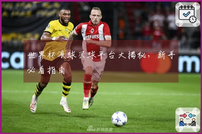世界杯滚球买球平台大揭秘，新手必看指南