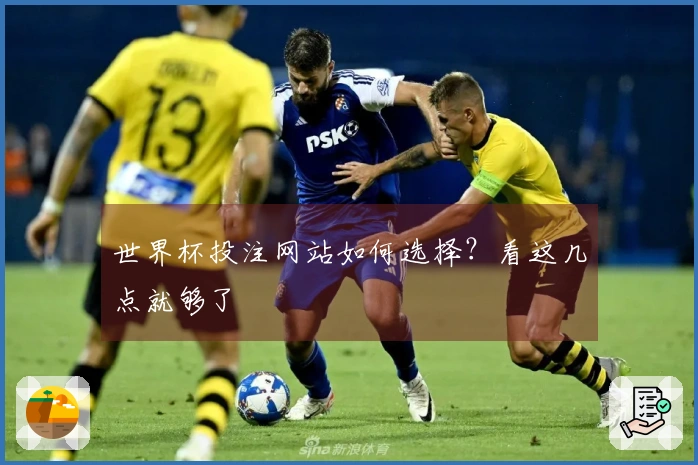 世界杯投注网站如何选择？看这几点就够了