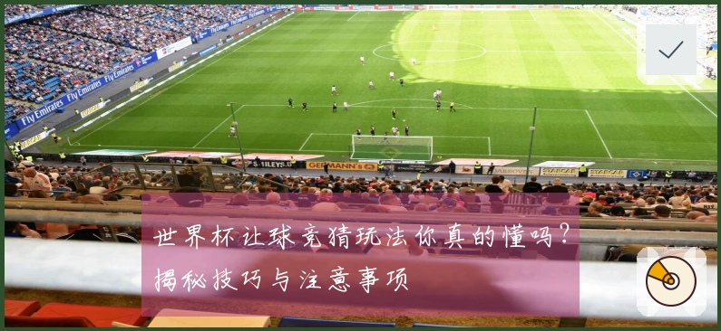 世界杯让球竞猜玩法你真的懂吗?揭秘技巧与注意事项