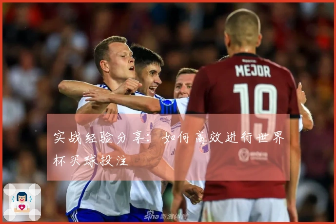 实战经验分享：如何高效进行世界杯买球投注