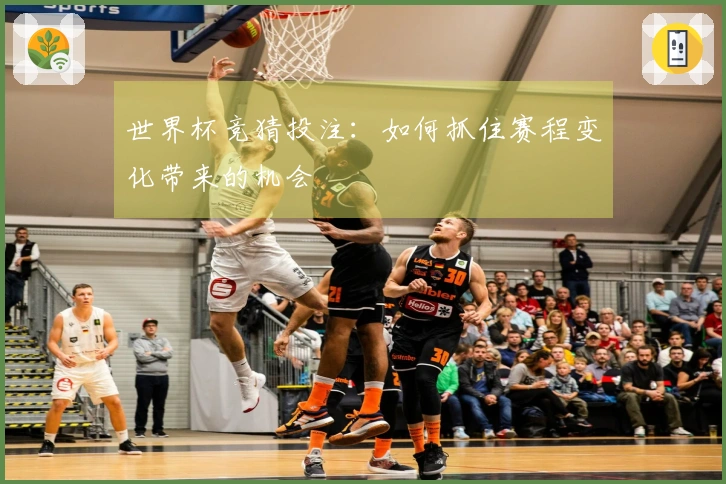 世界杯竞猜投注：如何抓住赛程变化带来的机会